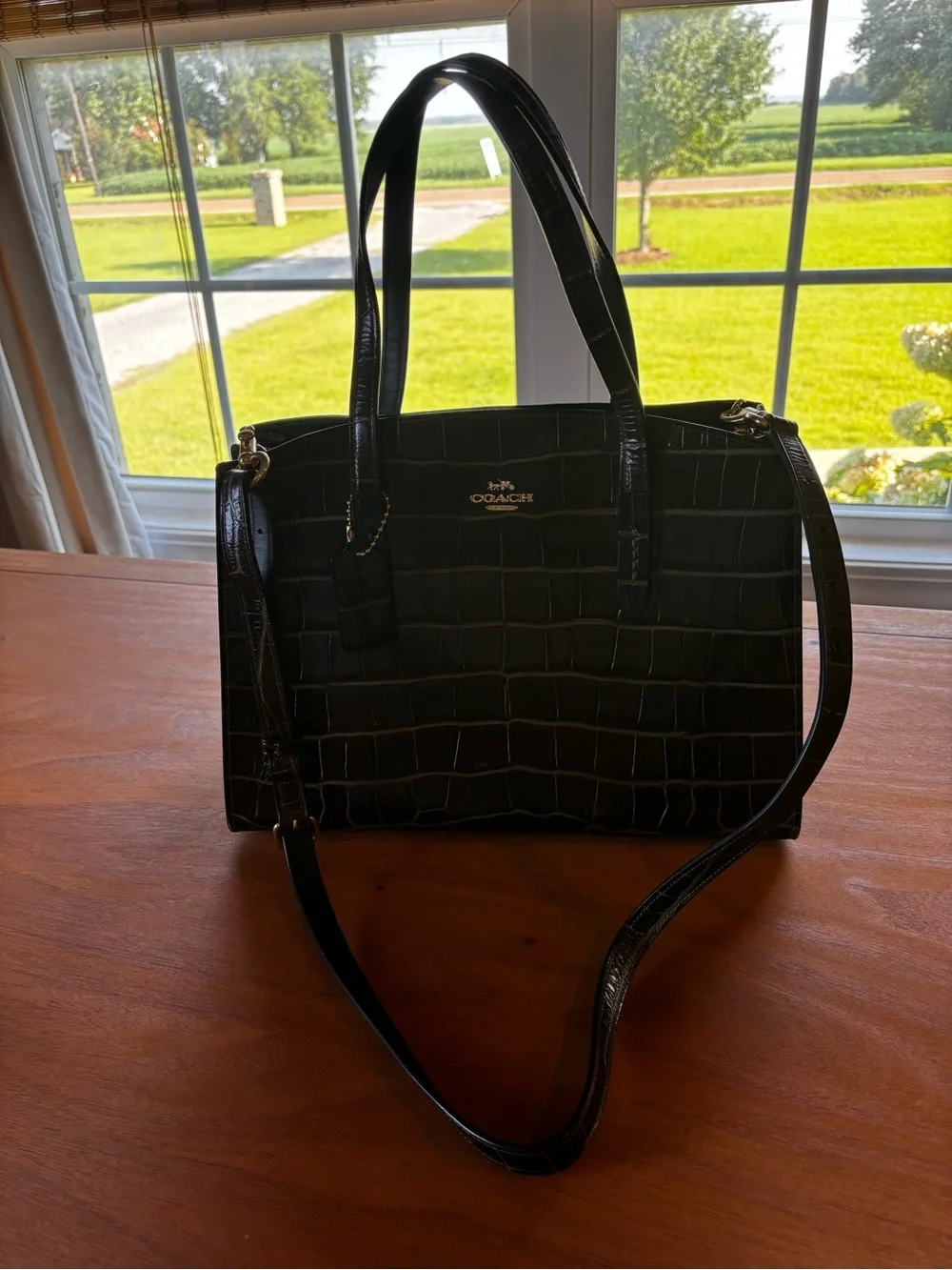 COACH Dark Brown NINA CARRYALL Croc-Embossed LEATHER Large Tote EUC